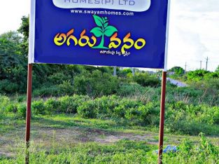 Farmland at affordable prices… Plantation already started… Little investment and good returns