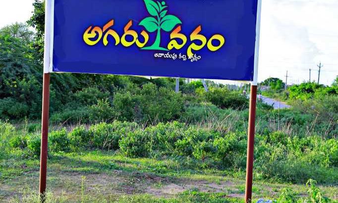 Farmland at affordable prices… Plantation already started… Little investment and good returns