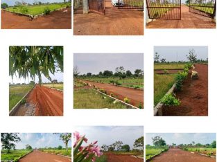 Sarvsuvidhayukt plot vo bhi naya raipur smartcity ke karib