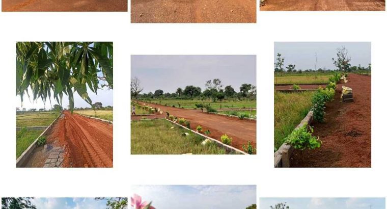 Sarvsuvidhayukt plot vo bhi naya raipur smartcity ke karib