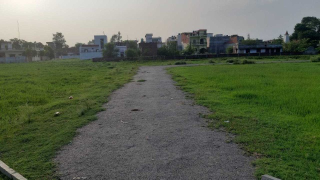 project in sarojni nagar