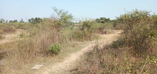 Stones Mines Land For Sale/Lease