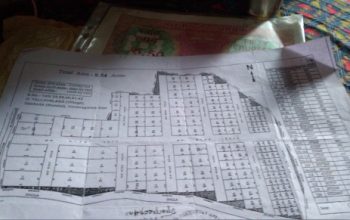 160 gajalu panchayati lay out d.tallavalasa