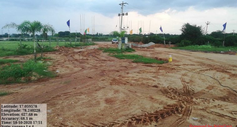 growing investment plots