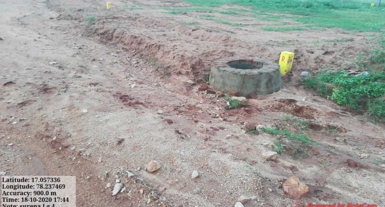 growing investment plots