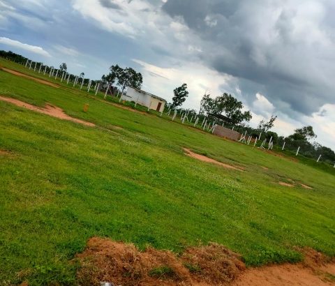 Open plots for sale in shamshabad