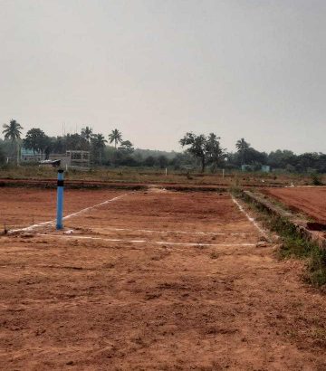 army area plot,  mouza – bikarampur, tahasil-kanisi