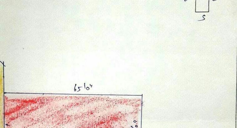 neelikonampalayam,  Coimbatore