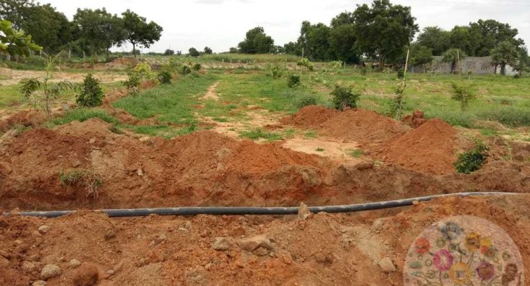 Frams Land For Sale in Bhuvanagiri, Raigir, warangal Highway at low Price