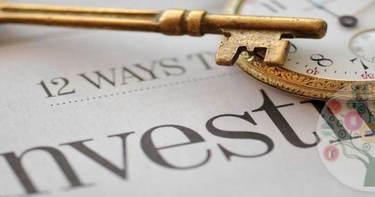 Investor Partner Required