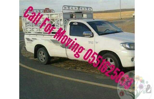 1 Ton Pickup Rent In Dubai 0551625833