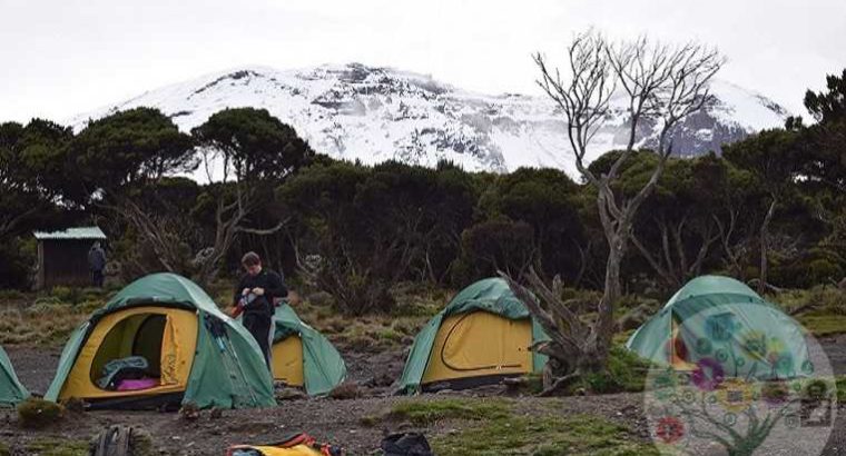 Ulitmate Kilimanjaro Trekking – With Zicasso Expeditions