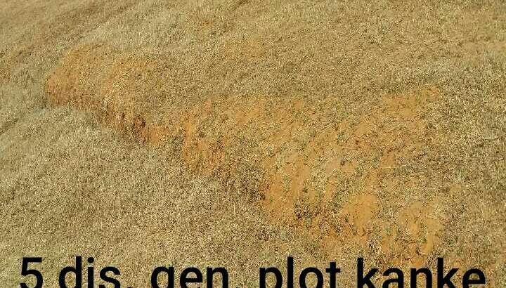 sale Land & plots