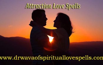 I need my lost love back in Colorado, Texas, Connecticut