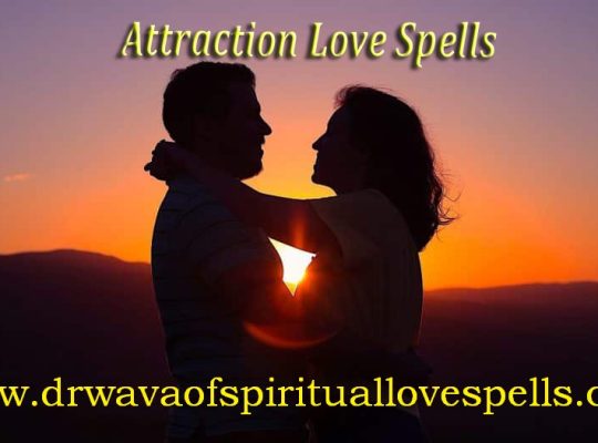 I need my lost love back in Colorado, Texas, Connecticut