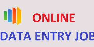 US Form Filling Project – Bulk & Single-System Data Entry