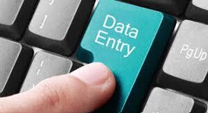 Consistent 11-Month Workload: Data Entry Project 7708244092