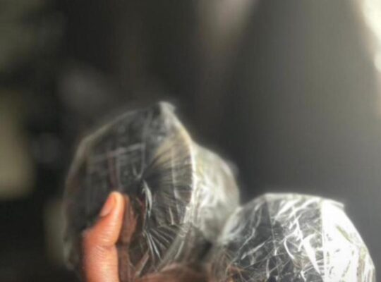 The Best Powerful SpirItual Herbalist IN Nigeria