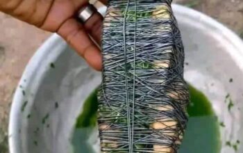 The Best Powerful SpirItual Herbalist IN Nigeria